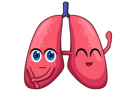 Download Cute Lungs Character Design Illustration - Character design Collection